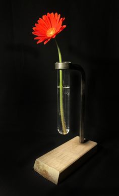 a red flower in a glass vase on a wooden block with a metal handle and black background