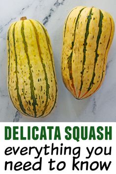 Delicata squash everything you need to know pinterest pin How To Cook Delicate Squash, Squash Recipes Delicata, Delicada Squash Recipes, Freezing Delicata Squash, Cooking Delicata Squash, How To Freeze Delicata Squash, Growing Delicata Squash, Delicate Squash Roasted