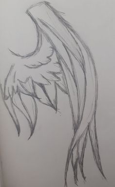 a pencil drawing of a bird's tail