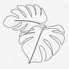 a black and white drawing of a leaf