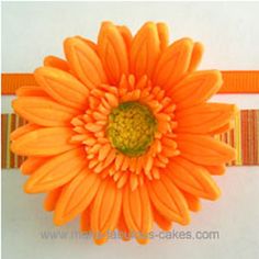 an orange flower with green center sitting on top of a white table next to a ribbon