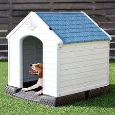 a dog is sitting in his kennel on the grass