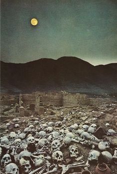 a bunch of skulls laying on the ground in front of a mountain with a full moon