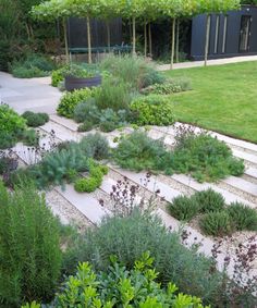 an outdoor garden with steps and plants