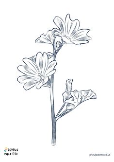 an ink drawing of flowers on a white background