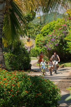 three people riding bikes down a path with palm trees and flowers in the foreground