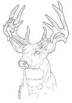 a drawing of a deer with antlers on it's head