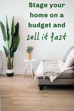 a living room with a couch, coffee table and potted plant on the floor