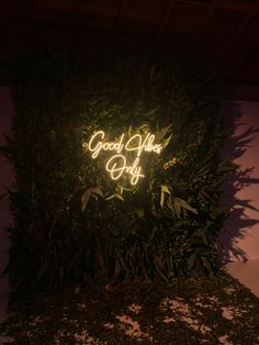 a neon sign that reads good vibe day on it's side in front of a bush