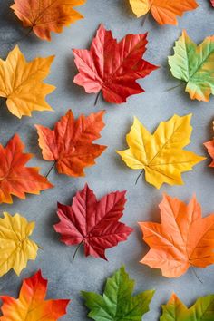 Autumn leaves in various colors scattered on a gray surface. Activities With Fall Leaves, Kids Autumn Leaf Crafts, Autumn Leaves Activity For Kids, Fall Leaf Crafts Wax Paper, Leaf Art Projects For Kids Preschool Fall Trees