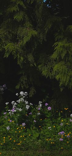 an image of flowers and trees in the night time scene with only one light on