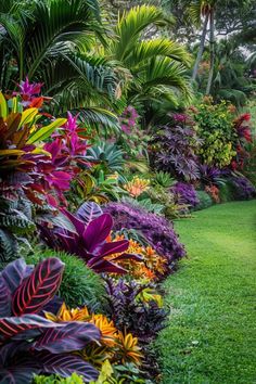 Tips for Designing a Low-Allergy Backyard Tropical Yards Landscape, Small Tropical Backyard Ideas, Large Plants Outdoor, Garden Design Tips, Tropical Gardens Ideas, Ethereal Backyard, Subtropical Landscaping, Tropical Oasis Backyard, Small Tropical Garden Design