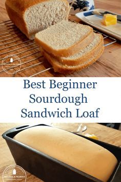 the best beginner sourdough sandwich loaf recipe