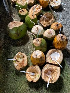 coconuts are lined up on the ground with toothpicks sticking out of them