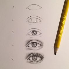 a pencil drawing of different eyes