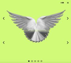 an image of a white bird with wings spread out on a green background and five stars in the bottom right corner