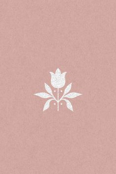 a white flower on a pink background