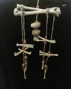 a group of bones hanging from ropes