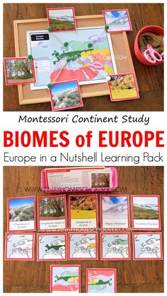 Biomes of Europe Montessori Europe Activities, Europe Unit Study, Habitat Activities, Animal Habitat, Montessori Geography, Second Grade Science, Geography Activities, Prek Classroom, First Grade Science