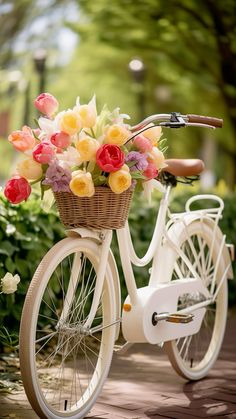 a white bicycle with flowers in the basket