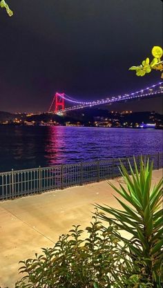 the bay bridge is lit up at night