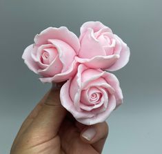 a hand holding three pink roses in it's left hand on a gray background