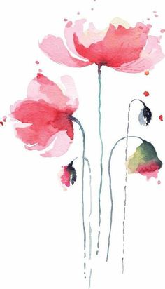 Poppies Illustration, Poppies Watercolor, Floral Art Paintings, Watercolor Flower Illustration, Watercolor Art Landscape, Floral Watercolor Paintings, Abstract Art Painting Techniques