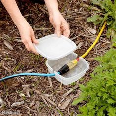 a person is holding a plastic container with water in it and hose connected to the ground