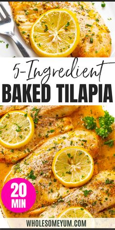 Baked Tilapia Baked Tilapia From Frozen, Roasted Tilapia And Vegetables, Crispy Oven Baked Tilapia, How Long To Bake Tilapia, Tilapia Paleo Recipes, Lemon Basil Tilapia, Low Calorie Tilapia Meals, Dill Tilapia Recipes, Easy Tilapia Dinner Recipes