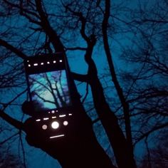 a cell phone that is attached to a tree in the dark with lights on it