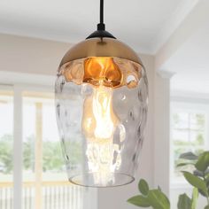 a light fixture hanging from a ceiling in a living room next to a potted plant