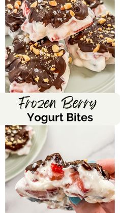 frozen berry yogurt bites on a plate with chocolate and nuts in the middle