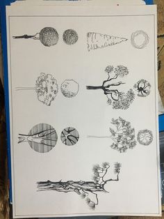 an open book with drawings on it and some trees in the middle, one is black and white