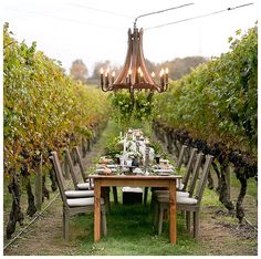 a dining table surrounded by chairs in the middle of a vineyard