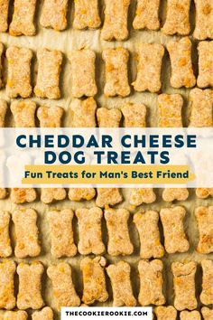 cheddar cheese dog treats with text overlay that reads, cheddar cheese dog treats fun treats for man's best friend