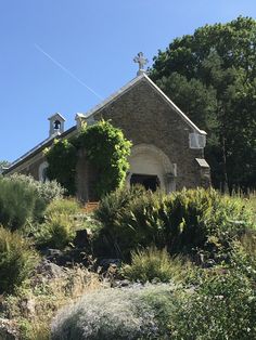 an old stone church surrounded by greenery and trees