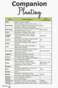 a table with the names and numbers of companies that are participating in this company's plan