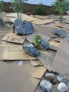 there are many rocks and plants on the ground in this area that is covered with cardboard