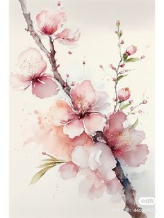 a painting of pink flowers on a white background