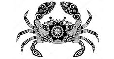 a black and white crab with intricate patterns on it's back, isolated against a white background