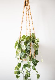 a wooden beaded plant hanging from a wall