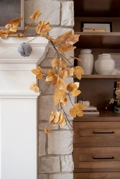 a branch with leaves hanging from it in front of a brick wall and shelves filled with vases