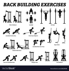 the silhouettes of people doing exercises in different positions, including pull ups and barbells