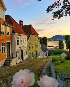 the flowers are blooming on the cobblestone road in front of old houses