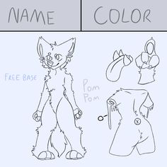 an image of how to draw furry animals in different poses and sizes with the text name color