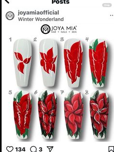 Poinsettia Nails, Poinsettia Flower, Art How, Flower Nails, Poinsettia, Christmas Nails, Art Designs, Beauty Tips