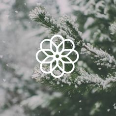 a white snowflake on top of a pine tree