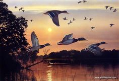 a flock of birds flying over a lake at sunset