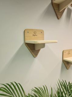 two wooden shelves on the wall with plants