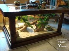 a fish tank filled with plants on top of a tiled floor